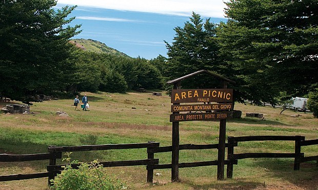 Picnics from the west to the centre